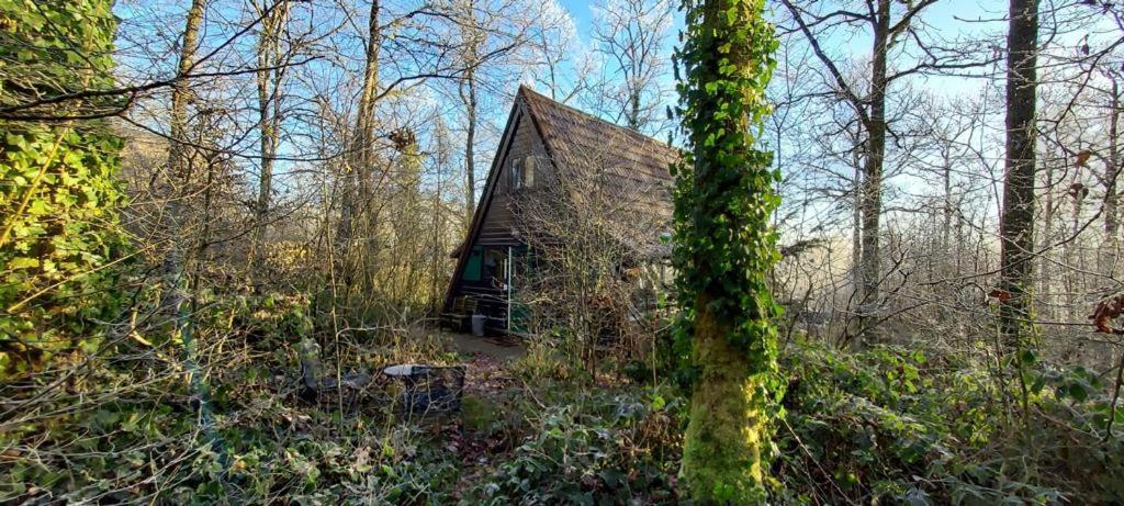 Het Boshuisje In Durbuy Villa Dış mekan fotoğraf